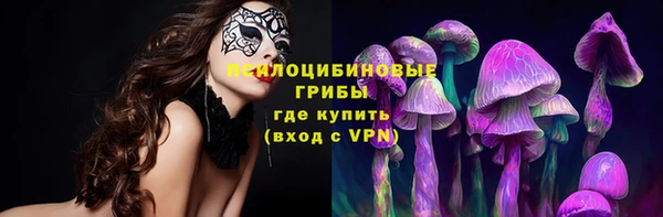винт Покров