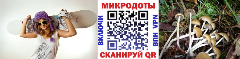 Купить  Новое Девяткино  Псилоцибиновые грибы мухоморы 
